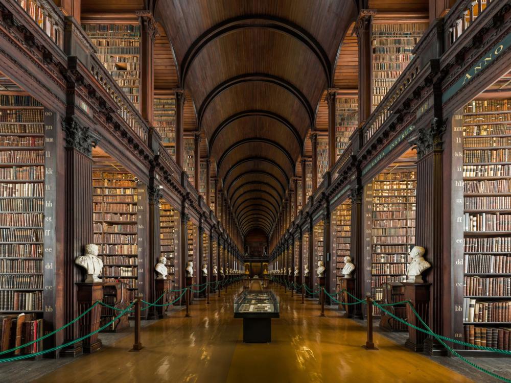 Websitebanner Vertalersvakschool Trinity College