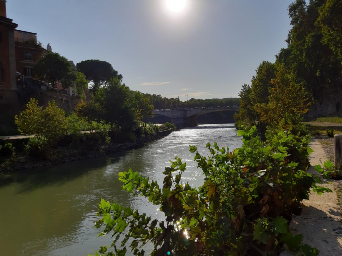 Tiber in september