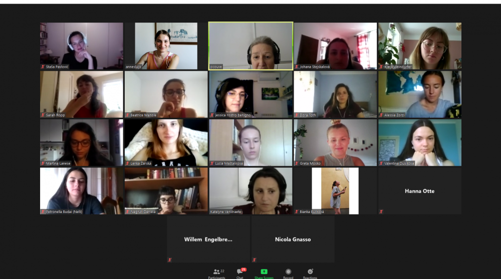Screenshot van een online workshop beroepspraktijk tijdens de Taalunie zomercursus Nederlands.